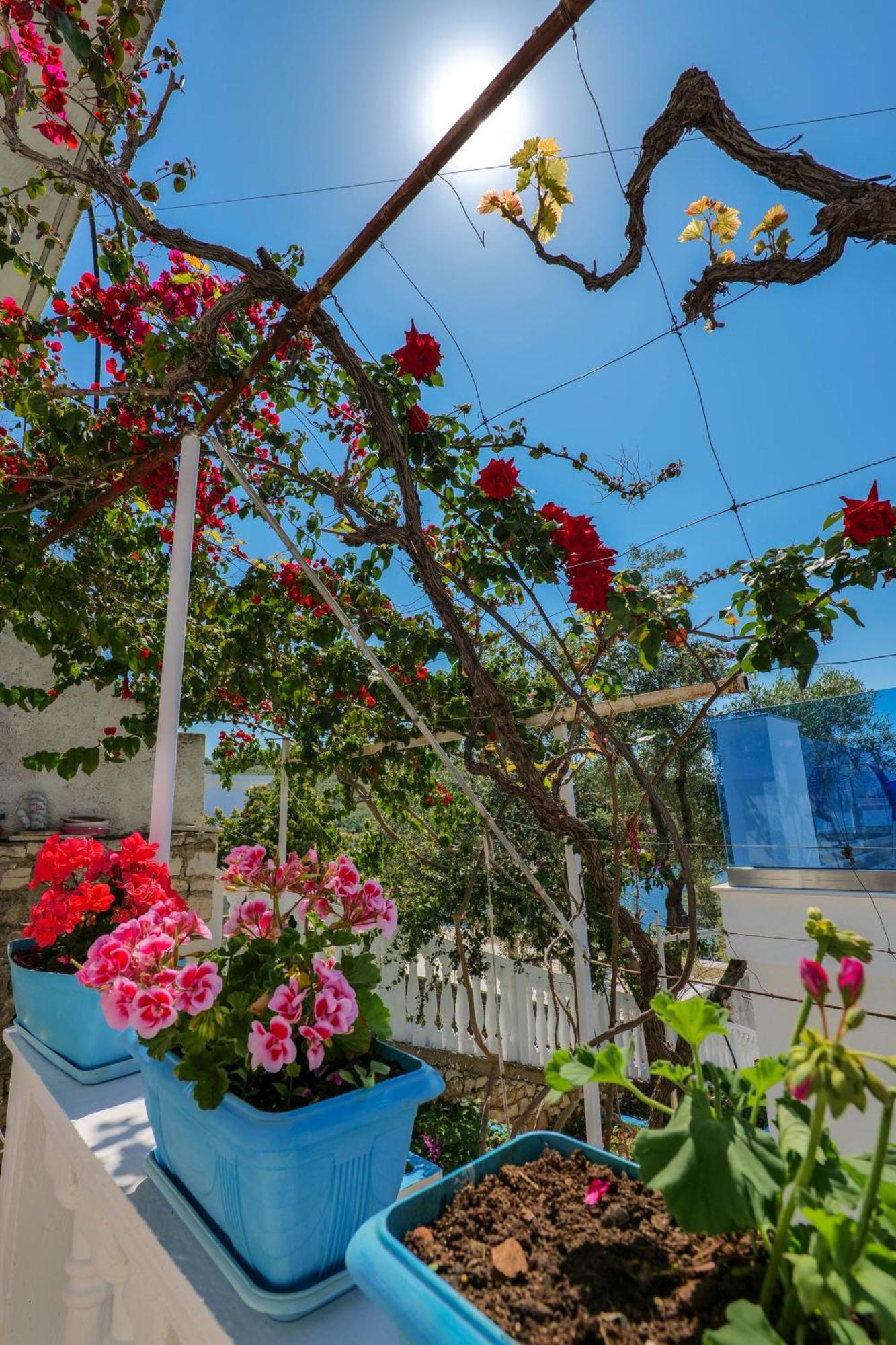 Fabeno Villa Sarandë Buitenkant foto